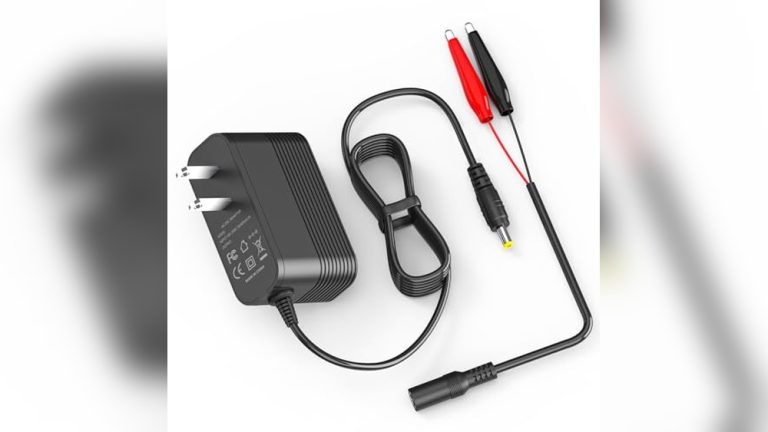 Best 12V Lifepo4 Battery Charger