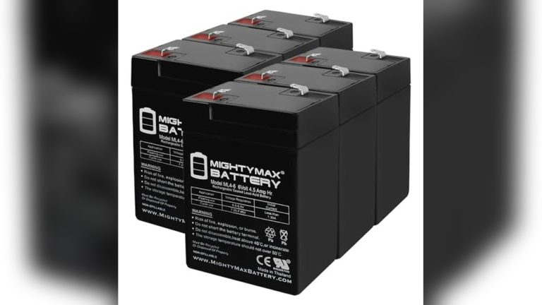 Best 6 Volt Rechargeable Battery for Deer Feeder