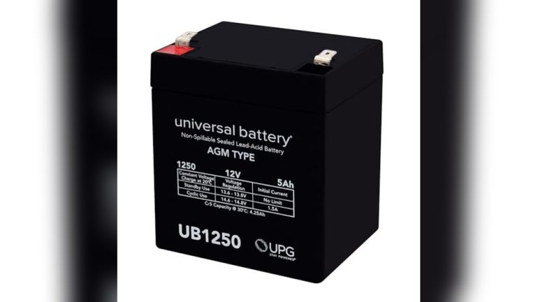 Best Battery for Audio System
