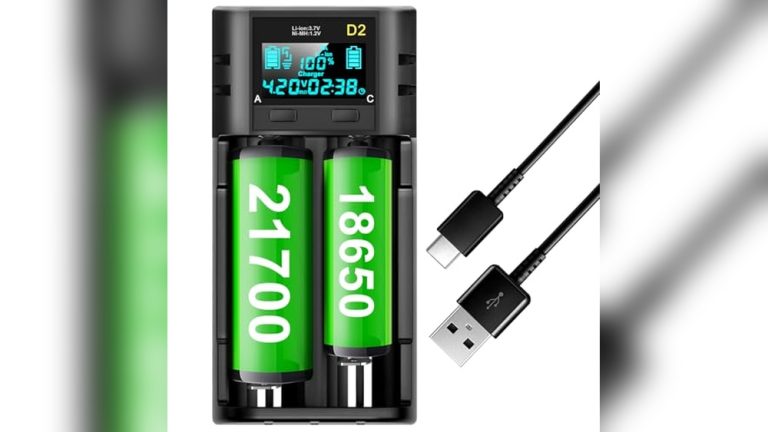 Best Lithium Ion Battery Charger