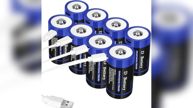 Best Rechargeable Lithium D Batteries