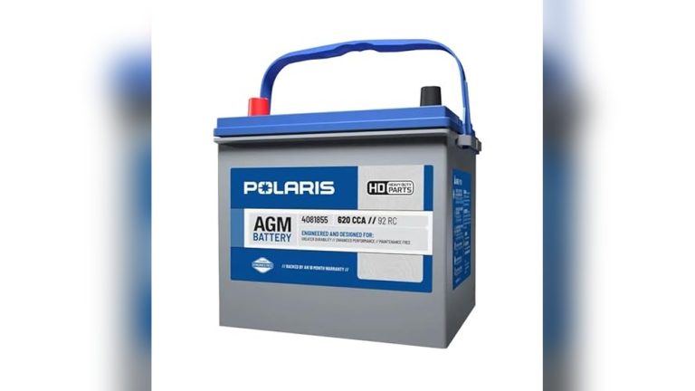 Best Replacement Battery for Rzr 1000