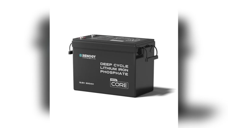 Renogy Battery Reviews